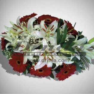 IKEBANA IK1-Drnda Internacional