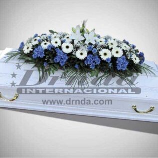 IKEBANA IS10-Drnda Internacional