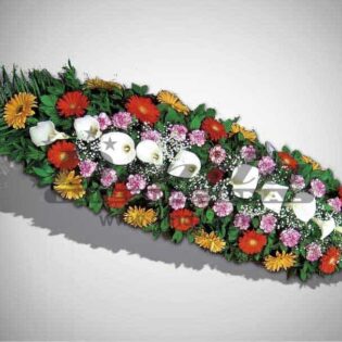 IKEBANA IS11-Drnda Internacional