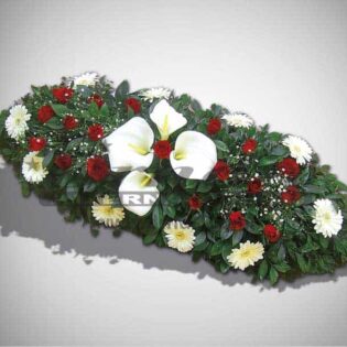 IKEBANA IS12-Drnda Internacional