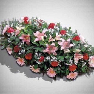 IKEBANA IS14-Drnda Internacional