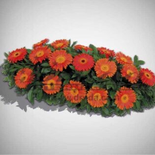 IKEBANA IS16-Drnda Internacional