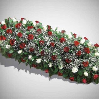 IKEBANA IS2-Drnda Internacional