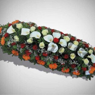 IKEBANA IS3-Drnda Internacional