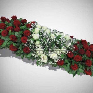 IKEBANA IS4-Drnda Internacional