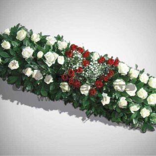 IKEBANA IS5-Drnda Internacional