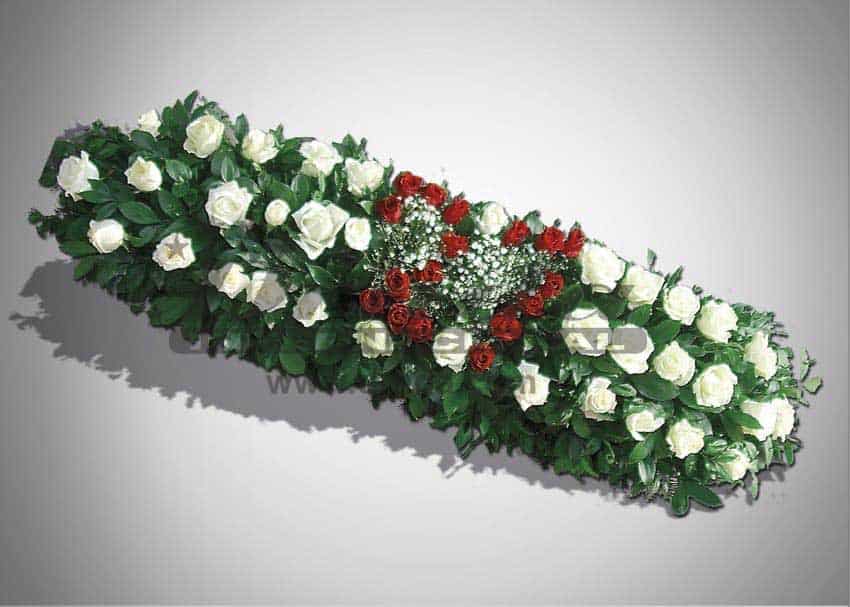 IKEBANA IS5-Drnda Internacional