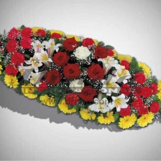 IKEBANA IS8-Drnda Internacional